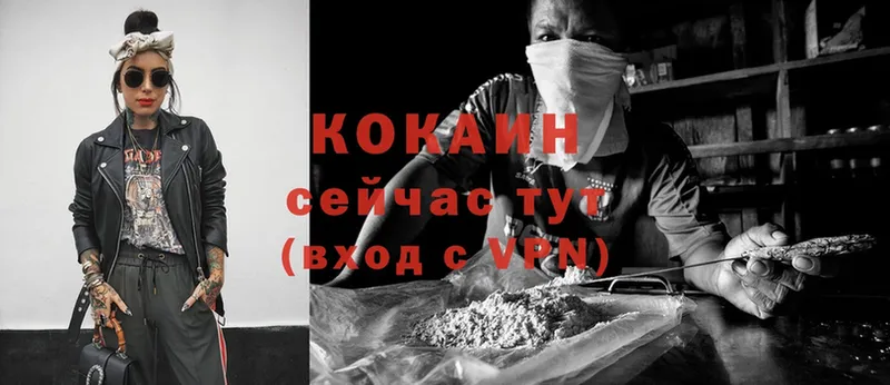 КОКАИН Боливия  как найти   Камышин 
