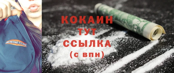 прущие грибы Покачи