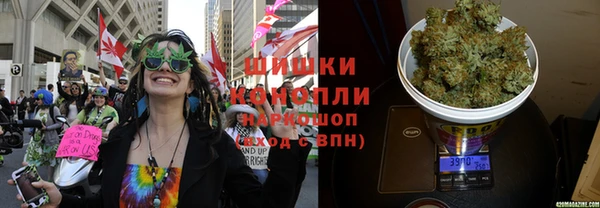 прущие грибы Покачи