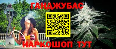 гидропоника Гусиноозёрск