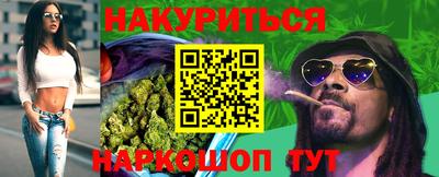 прущие грибы Гатчина