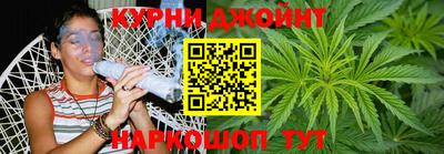 прущие грибы Гатчина