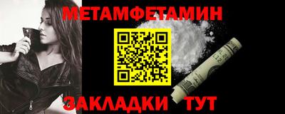 прущие грибы Гатчина
