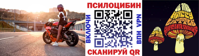 хочу наркоту  Камышин  Галлюциногенные грибы ЛСД 