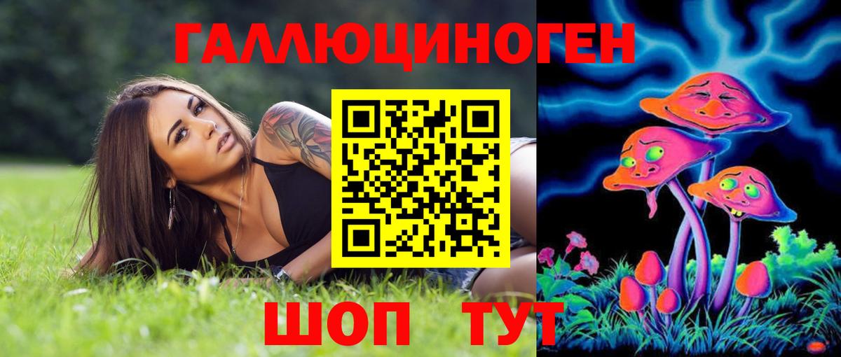 Галлюциногенные грибы MAGIC MUSHROOMS  Галлюциногенные грибы MAGIC MUSHROOMS  Камышин  Вход с VPN 