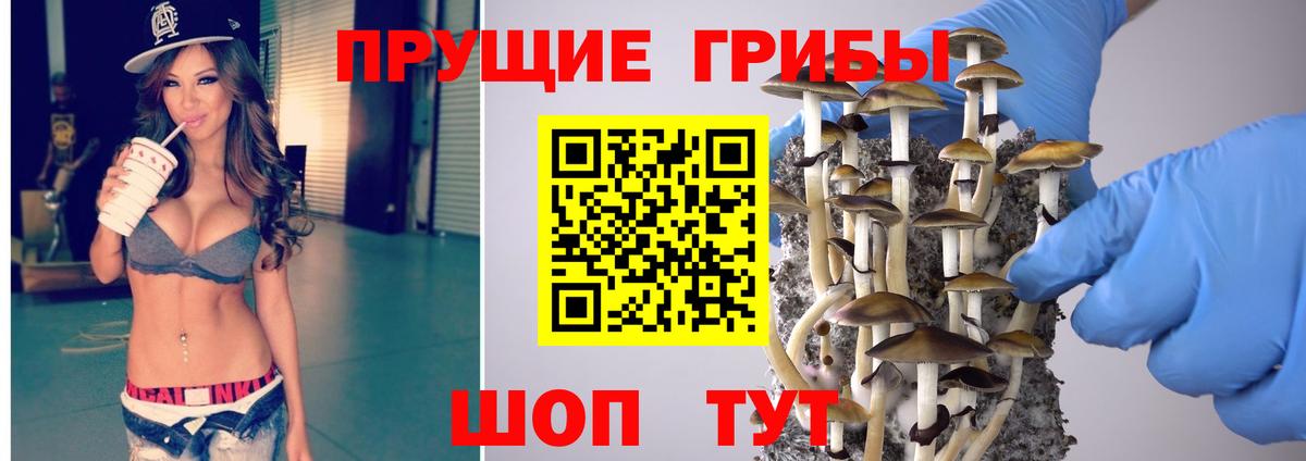 Галлюциногенные грибы GOLDEN TEACHER Камышин